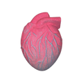 Anatomical Heart Bathbomb