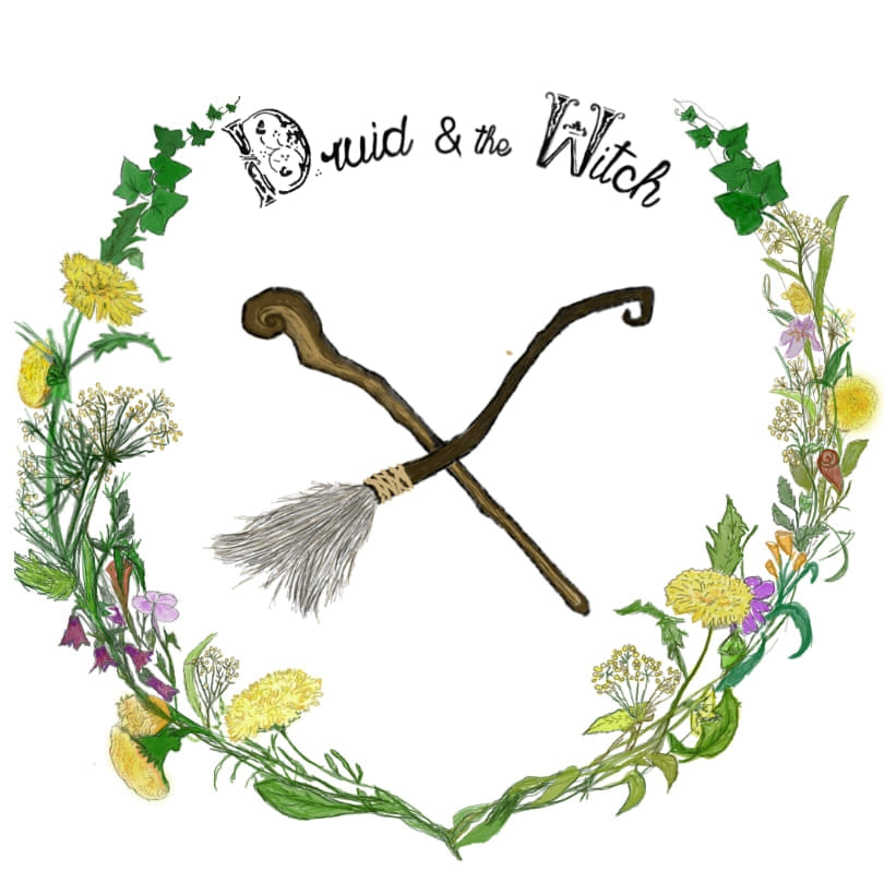 Druid and the Witch